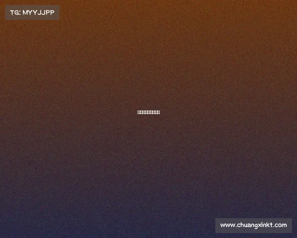 法国队赛事记录查询